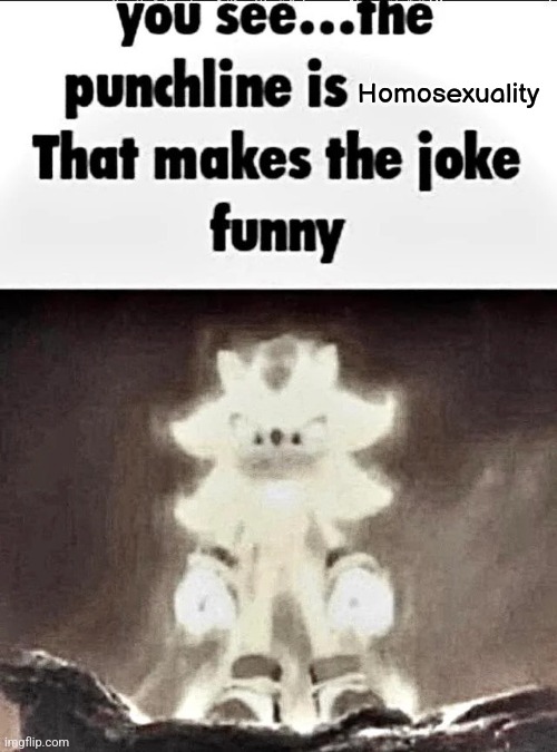 Shadow explains the joke | Homosexuality | image tagged in shadow explains the joke | made w/ Imgflip meme maker