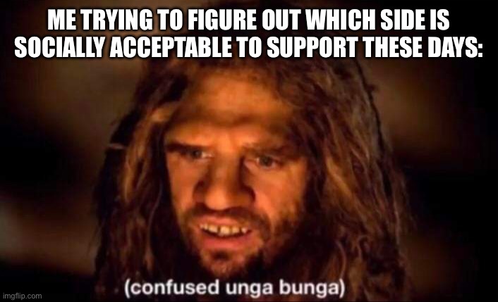 Confused Unga Bunga | ME TRYING TO FIGURE OUT WHICH SIDE IS SOCIALLY ACCEPTABLE TO SUPPORT THESE DAYS: | image tagged in confused unga bunga | made w/ Imgflip meme maker