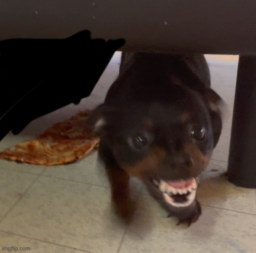 my sisters friend gave him pizza | made w/ Imgflip meme maker
