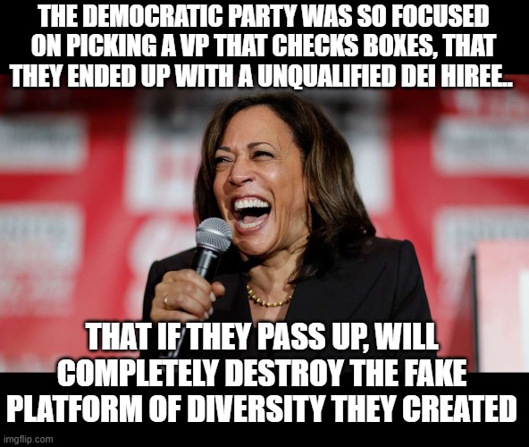 Love seeing the democratic party in ruins , fractured by their own hands. | THE DEMOCRATIC PARTY WAS SO FOCUSED ON PICKING A VP THAT CHECKS BOXES, THAT THEY ENDED UP WITH A UNQUALIFIED DEI HIREE.. THAT IF THEY PASS UP, WILL COMPLETELY DESTROY THE FAKE PLATFORM OF DIVERSITY THEY CREATED | image tagged in stupid liberals,democrats,task failed successfully,donald trump approves,funny memes,political humor | made w/ Imgflip meme maker