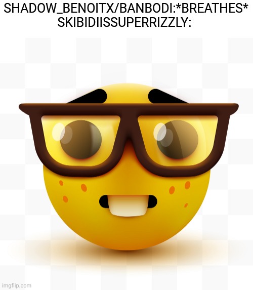 Nerd emoji | SHADOW_BENOITX/BANBODI:*BREATHES* SKIBIDIISSUPERRIZZLY: | image tagged in nerd emoji | made w/ Imgflip meme maker