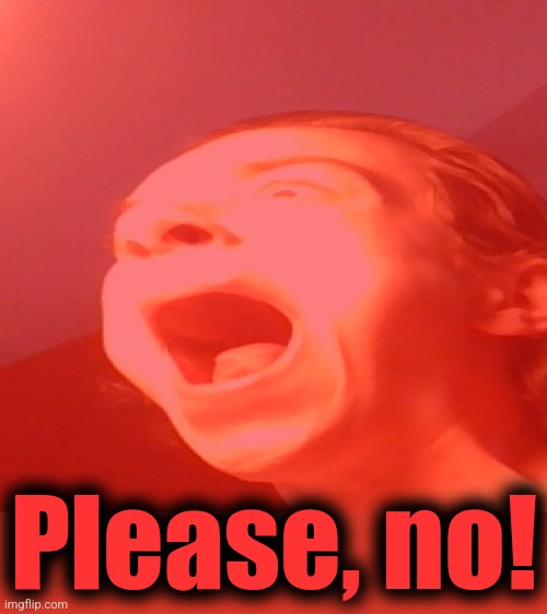 Please, no! | image tagged in flash screeam | made w/ Imgflip meme maker