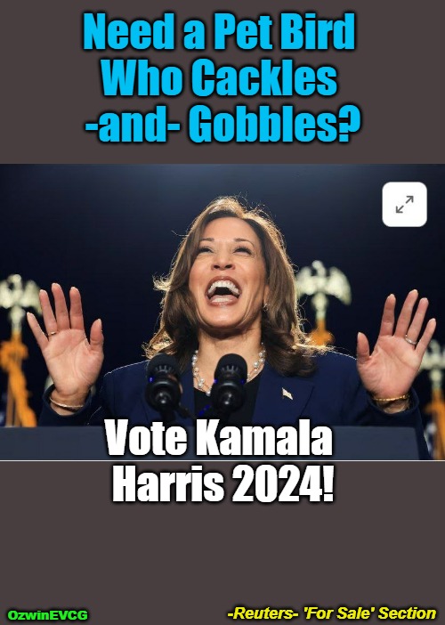 -Reuters- 'For Sale' Section | Need a Pet Bird 

Who Cackles 

-and- Gobbles? Vote Kamala 

Harris 2024! -Reuters- 'For Sale' Section; OzwinEVCG | image tagged in political puppets,kamala harris,comrade kneepads,rigged elections,2024,falling standards | made w/ Imgflip meme maker