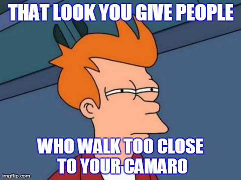 The Look | THAT LOOK YOU GIVE PEOPLE WHO WALK TOO CLOSE TO YOUR CAMARO | image tagged in cars | made w/ Imgflip meme maker