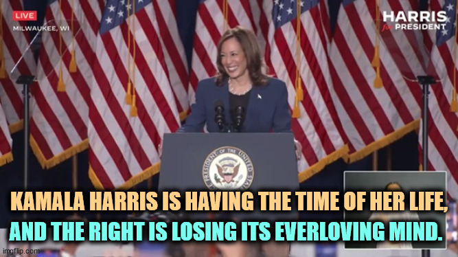KAMALA HARRIS IS HAVING THE TIME OF HER LIFE, AND THE RIGHT IS LOSING ITS EVERLOVING MIND. | image tagged in kamala harris,enjoy,maga,right wing,conservative,despair | made w/ Imgflip meme maker