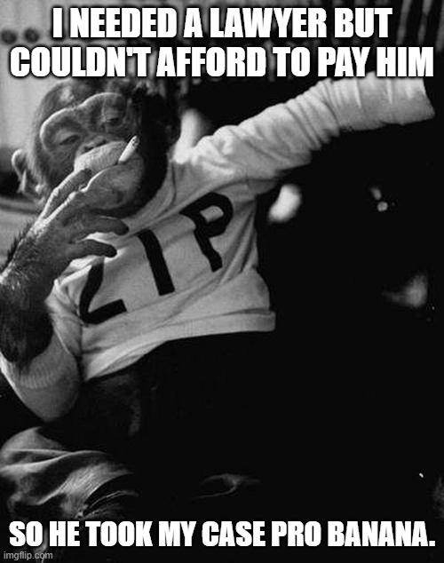 smoking monkey  | I NEEDED A LAWYER BUT COULDN'T AFFORD TO PAY HIM; SO HE TOOK MY CASE PRO BANANA. | image tagged in smoking monkey,lawyers,bananas,bad jokes,bad puns | made w/ Imgflip meme maker