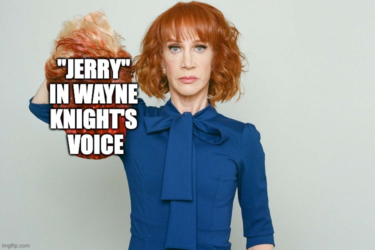 "Jerry" in Wayne Knight's voice | "JERRY" 
IN WAYNE 
KNIGHT'S 
VOICE | image tagged in kathy griffin,jerry seinfeld,newman | made w/ Imgflip meme maker