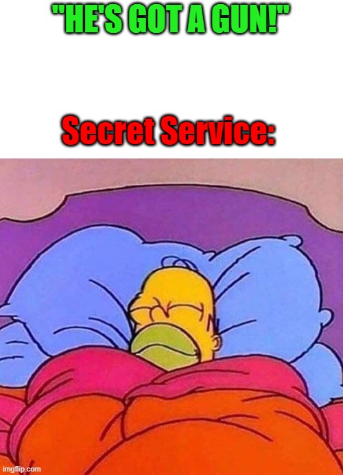 "Don't worry about him; he's probably hunting for some whitetail deer." -Secret Service | "HE'S GOT A GUN!"; Secret Service: | image tagged in homer simpson sleeping peacefully | made w/ Imgflip meme maker