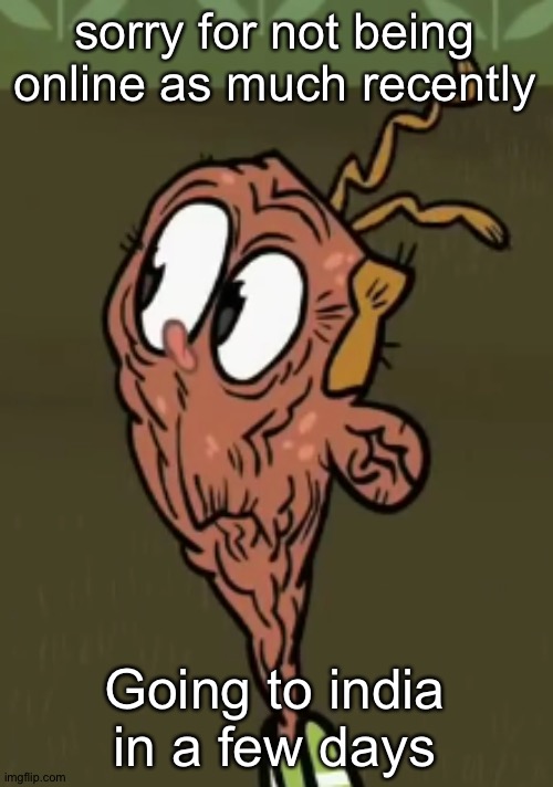 two shoes wild | sorry for not being online as much recently; Going to india in a few days | image tagged in two shoes wild | made w/ Imgflip meme maker