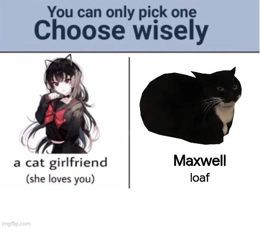 Choose wisely | Maxwell; loaf | image tagged in choose wisely | made w/ Imgflip meme maker