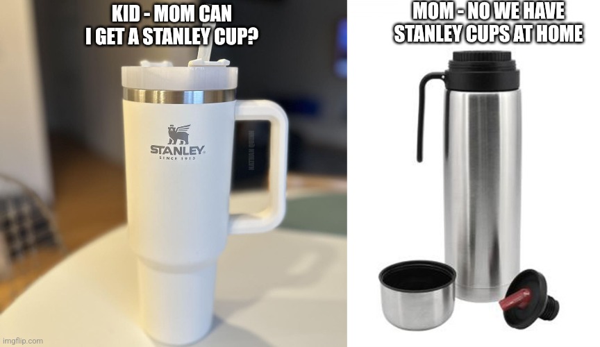 Meme | MOM - NO WE HAVE STANLEY CUPS AT HOME; KID - MOM CAN I GET A STANLEY CUP? NATHAN QUINN | image tagged in memes,funny | made w/ Imgflip meme maker