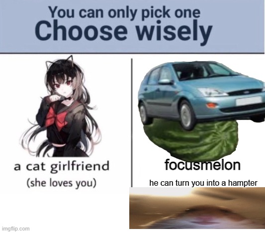 Choose wisely | focusmelon; he can turn you into a hampter | image tagged in choose wisely | made w/ Imgflip meme maker