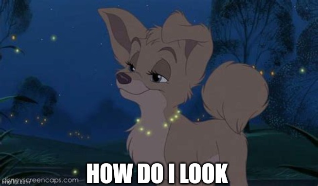 How Do I Look | HOW DO I LOOK | image tagged in lady and the tramp 2 angel | made w/ Imgflip meme maker
