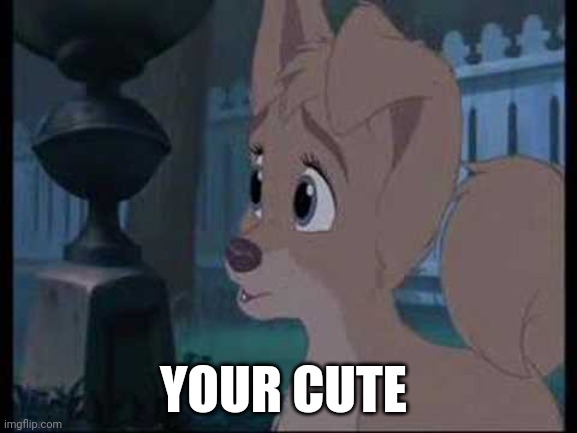 Lady And The Tramp 2 Angel | YOUR CUTE | image tagged in lady and the tramp 2 angel | made w/ Imgflip meme maker