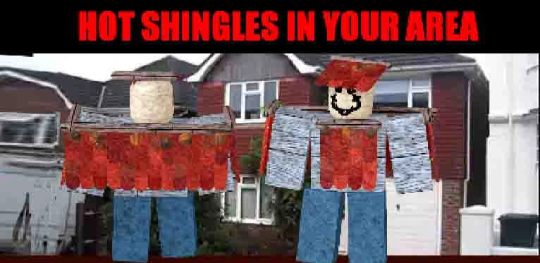 High Quality hot shingles in your area Blank Meme Template