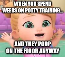 Potty Training is Lulu Pooped On Floor | WHEN YOU SPEND WEEKS ON POTTY TRAINING... AND THEY POOP ON THE FLOOR ANYWAY | image tagged in potty,poop,on floor | made w/ Imgflip meme maker