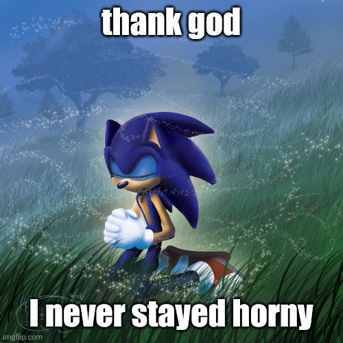 praying sonic | thank god I never stayed horny | image tagged in praying sonic | made w/ Imgflip meme maker