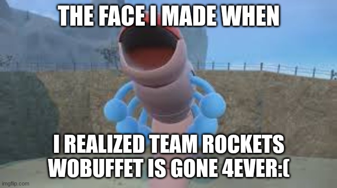 bye wobbufet | THE FACE I MADE WHEN; I REALIZED TEAM ROCKETS WOBUFFET IS GONE 4EVER:( | image tagged in pokemon,orthworm,worm,team rocket,steel type,steel type pokemon | made w/ Imgflip meme maker