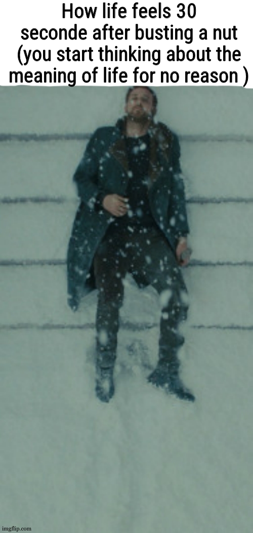 Ryan Gosling (Officer K) Laying on the Snow | How life feels 30 seconde after busting a nut
(you start thinking about the meaning of life for no reason ) | image tagged in ryan gosling officer k laying on the snow | made w/ Imgflip meme maker