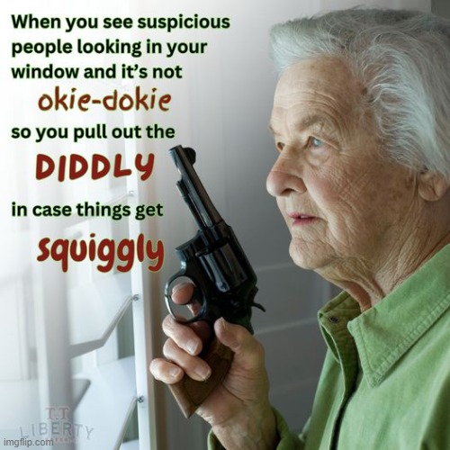 Guns | image tagged in 2nd amendment,gun rights,grandma,humor,right to bear arms | made w/ Imgflip meme maker
