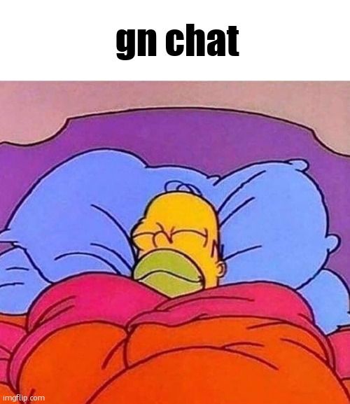 gn chat | gn chat | image tagged in homer simpson sleeping peacefully | made w/ Imgflip meme maker