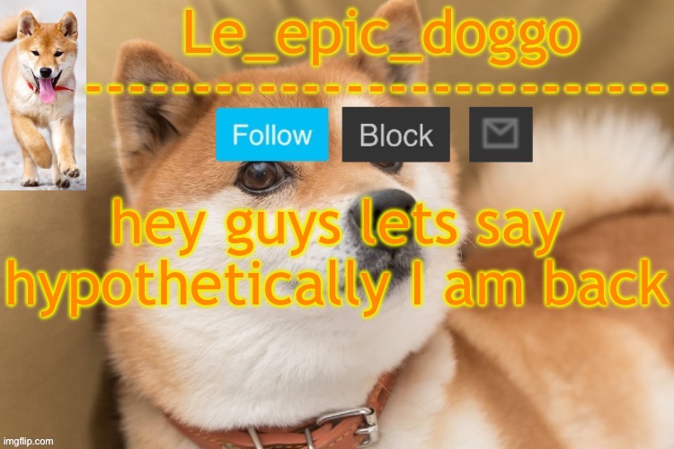 epic doggo's temp back in old fashion | hey guys lets say hypothetically I am back | image tagged in epic doggo's temp back in old fashion | made w/ Imgflip meme maker