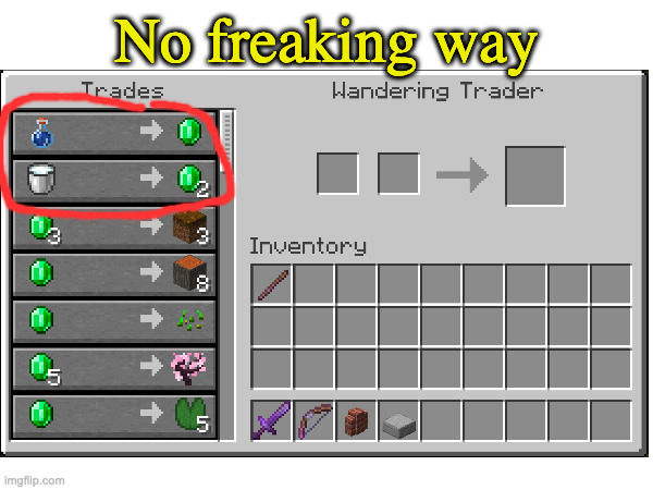 the trader is actually useful | No freaking way | image tagged in minecraft,no way | made w/ Imgflip meme maker