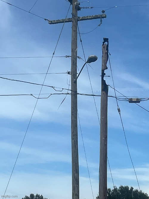 got too hungry | made w/ Imgflip meme maker