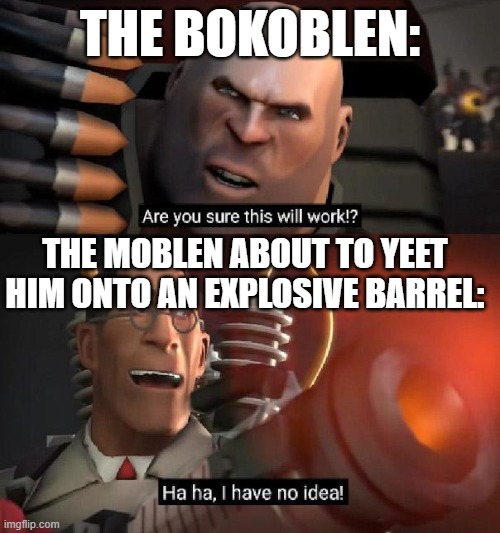 Are you sure this will work!? Ha ha,I have no idea | THE BOKOBLEN:; THE MOBLEN ABOUT TO YEET HIM ONTO AN EXPLOSIVE BARREL: | image tagged in are you sure this will work ha ha i have no idea | made w/ Imgflip meme maker