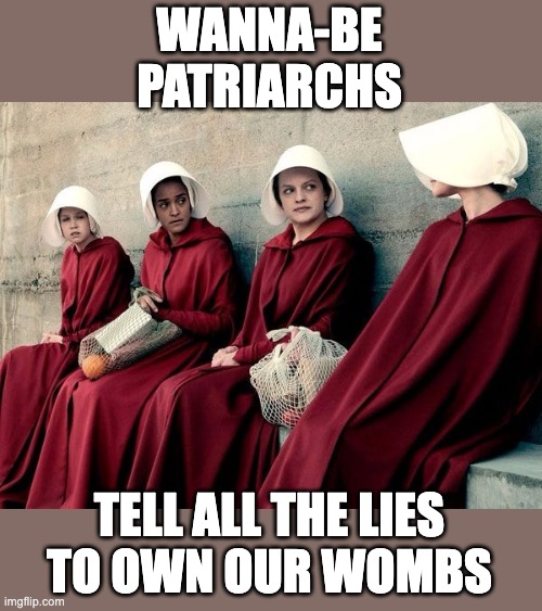 Handmaid's Tale | WANNA-BE
PATRIARCHS TELL ALL THE LIES
TO OWN OUR WOMBS | image tagged in handmaid's tale | made w/ Imgflip meme maker