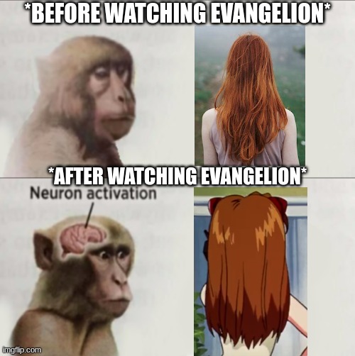 I can assure you dear reader, I am not Shinji Ikari's account | *BEFORE WATCHING EVANGELION*; *AFTER WATCHING EVANGELION* | image tagged in monkey neuron,shinji ikari,asuka langley soryu,evangelion,neon genesis evangelion,redheads | made w/ Imgflip meme maker