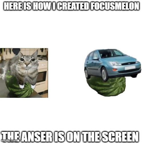 HERE IS HOW I CREATED FOCUSMELON; THE ANSER IS ON THE SCREEN | made w/ Imgflip meme maker