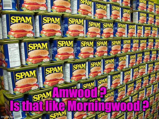 Spam, Delicous | Amwood ?
Is that like Morningwood ? | image tagged in spam delicous | made w/ Imgflip meme maker