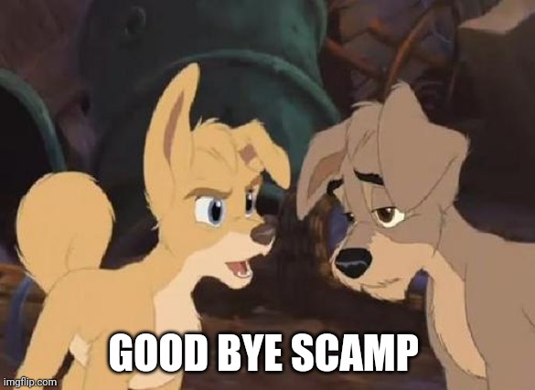 Good Bye Scamp | GOOD BYE SCAMP | image tagged in lady and the tramp 2 angel,jeszie destromp,goodbye | made w/ Imgflip meme maker