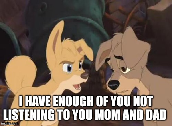 I Have Enough | I HAVE ENOUGH OF YOU NOT LISTENING TO YOU MOM AND DAD | image tagged in lady and the tramp 2 angel | made w/ Imgflip meme maker