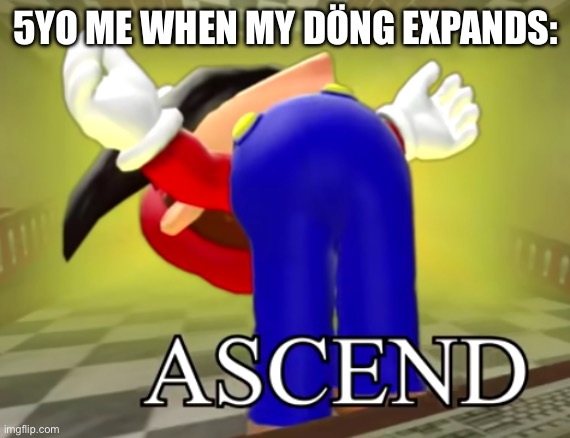 Ascend… | 5YO ME WHEN MY DÖNG EXPANDS: | image tagged in smg4 mario ascends | made w/ Imgflip meme maker