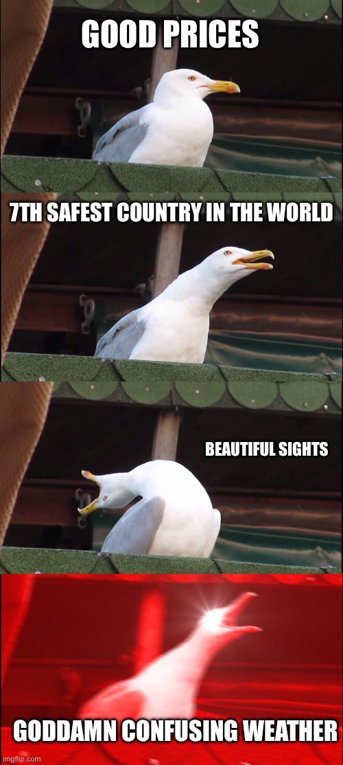 Benefits of living in Canada (part 3) | GOOD PRICES; 7TH SAFEST COUNTRY IN THE WORLD; BEAUTIFUL SIGHTS; GODDAMN CONFUSING WEATHER | image tagged in memes,inhaling seagull | made w/ Imgflip meme maker