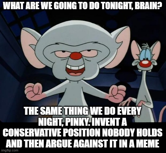 Pinky and the Brain | WHAT ARE WE GOING TO DO TONIGHT, BRAIN? THE SAME THING WE DO EVERY NIGHT, PINKY. INVENT A CONSERVATIVE POSITION NOBODY HOLDS AND THEN ARGUE AGAINST IT IN A MEME | image tagged in pinky and the brain | made w/ Imgflip meme maker