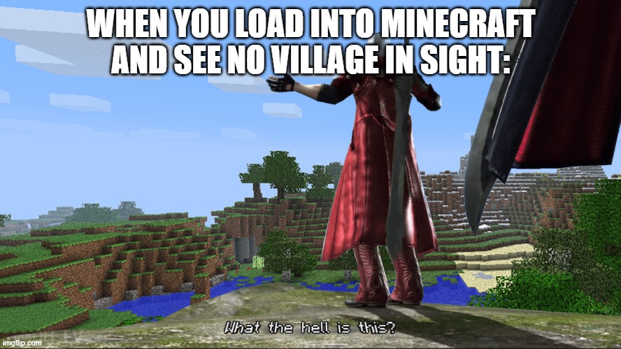 Seriously it sucks | WHEN YOU LOAD INTO MINECRAFT AND SEE NO VILLAGE IN SIGHT: | image tagged in what the hell is this | made w/ Imgflip meme maker