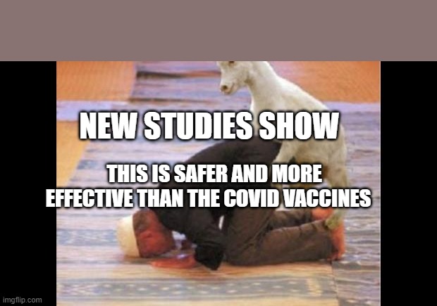 Hump day | NEW STUDIES SHOW; THIS IS SAFER AND MORE EFFECTIVE THAN THE COVID VACCINES | image tagged in hump day | made w/ Imgflip meme maker