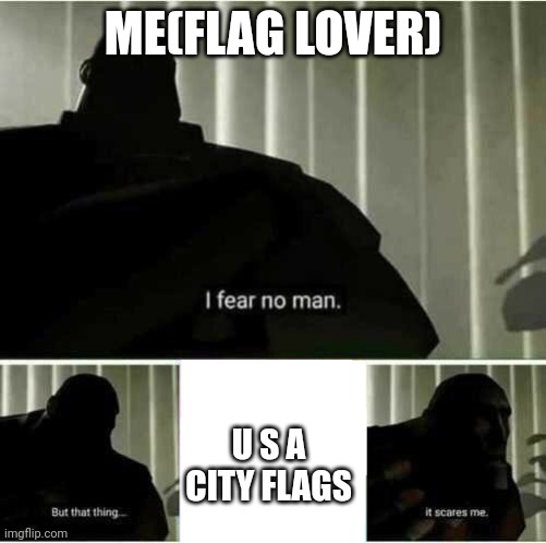 I fear no man | ME(FLAG LOVER); U S A CITY FLAGS | image tagged in i fear no man | made w/ Imgflip meme maker