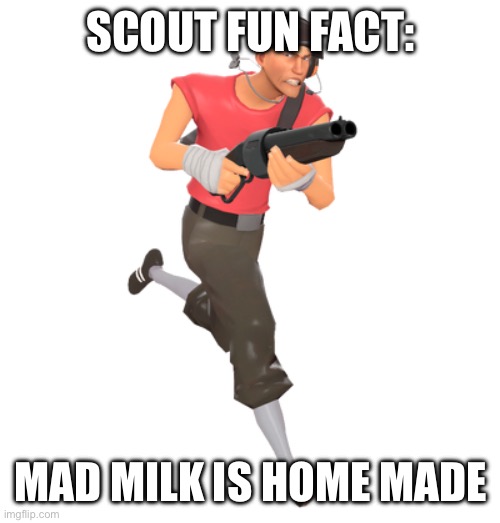 Scout fun fact | SCOUT FUN FACT:; MAD MILK IS HOME MADE | image tagged in team fortress 2,tf2,tf2 scout | made w/ Imgflip meme maker