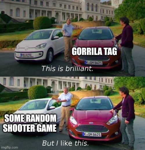 This Is Brilliant But I Like This | GORRILA TAG; SOME RANDOM SHOOTER GAME | image tagged in this is brilliant but i like this | made w/ Imgflip meme maker