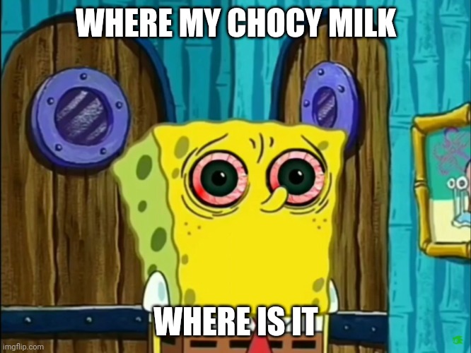 Bootleg SpongeBob | WHERE MY CHOCY MILK; WHERE IS IT | image tagged in bootleg spongebob | made w/ Imgflip meme maker