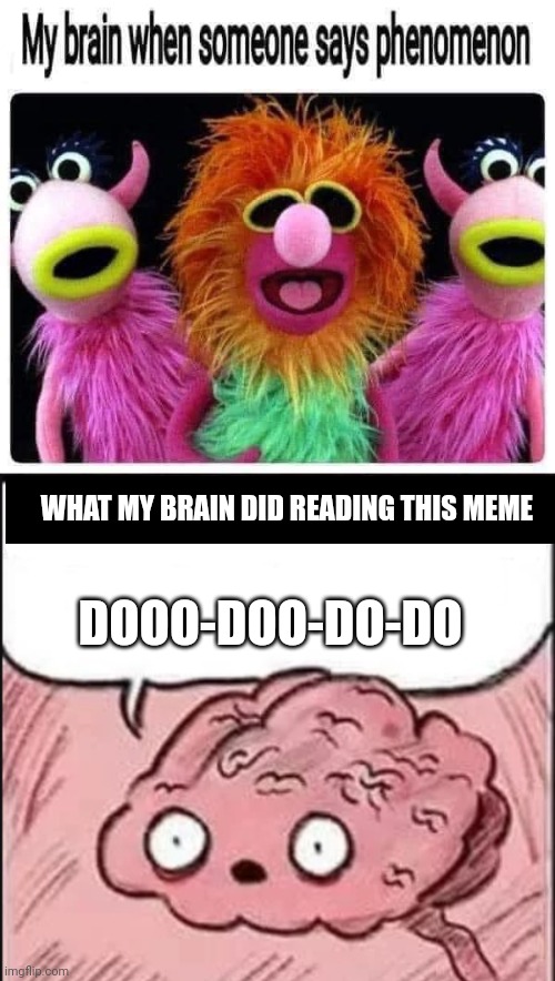 WHAT MY BRAIN DID READING THIS MEME; DOOO-DOO-DO-DO | image tagged in waking up brain | made w/ Imgflip meme maker