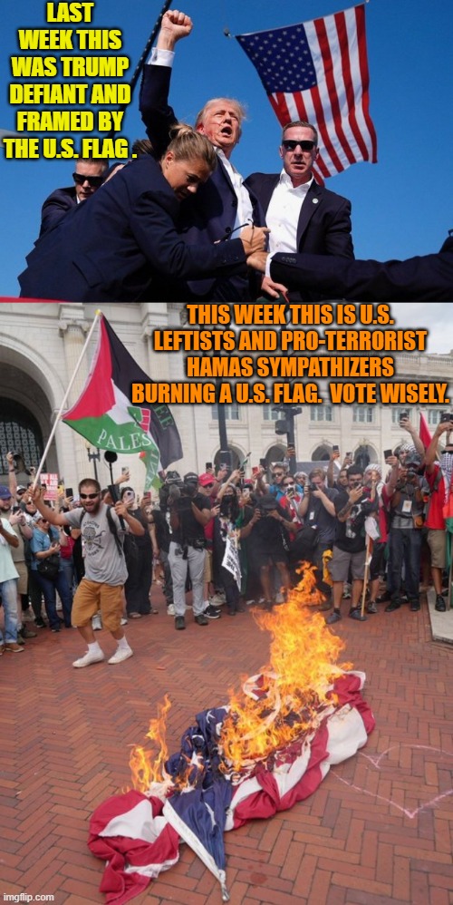 Yes, Joe Biden and Kamala Harris support the flag burners and terrorist-lovers. | LAST WEEK THIS WAS TRUMP DEFIANT AND FRAMED BY THE U.S. FLAG . THIS WEEK THIS IS U.S. LEFTISTS AND PRO-TERRORIST HAMAS SYMPATHIZERS BURNING A U.S. FLAG.  VOTE WISELY. | image tagged in yep | made w/ Imgflip meme maker