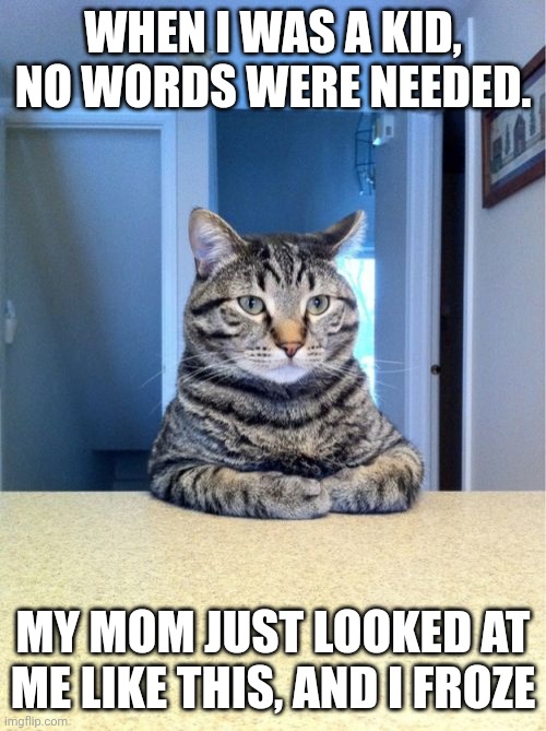 Take A Seat Cat | WHEN I WAS A KID, NO WORDS WERE NEEDED. MY MOM JUST LOOKED AT ME LIKE THIS, AND I FROZE | image tagged in memes,take a seat cat | made w/ Imgflip meme maker