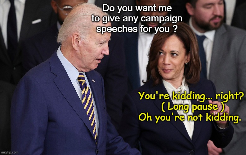 Will Joe go on the road for Kamala? | Do you want me to give any campaign speeches for you ? You're kidding... right?
 ( Long pause )
Oh you're not kidding. | image tagged in joe biden,kamala harris | made w/ Imgflip meme maker