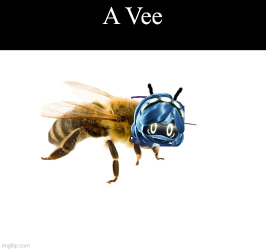 Shitpost | A Vee | image tagged in shitpost,murder drones,bee,v | made w/ Imgflip meme maker