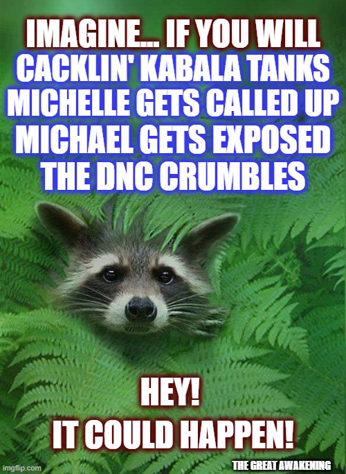 Make It Rain | IMAGINE... IF YOU WILL; CACKLIN' KABALA TANKS MICHELLE GETS CALLED UP; MICHAEL GETS EXPOSED; THE DNC CRUMBLES; HEY! IT COULD HAPPEN! THE GREAT AWAKENING | image tagged in the silent war,politics,politics 2024,the great awakening,american politics,dark to light | made w/ Imgflip meme maker